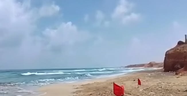 noab-346x220.jpg