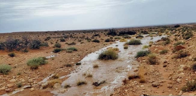 noab-346x220.jpg
